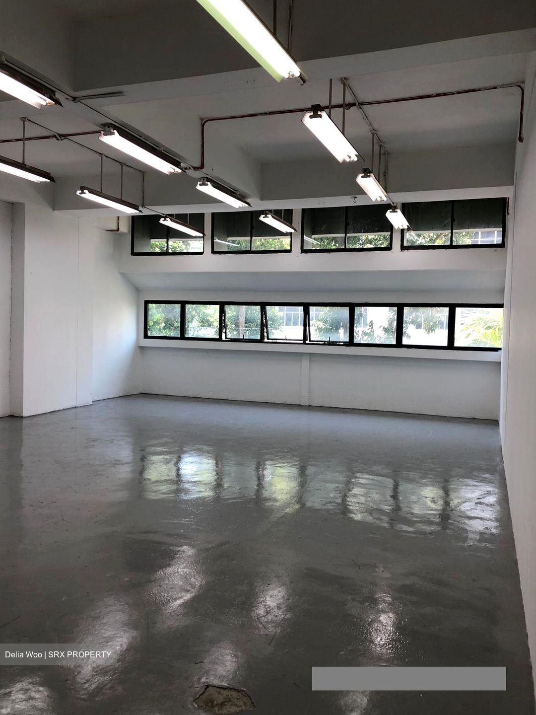 Ruby Land Complex (D13), Factory #456458741